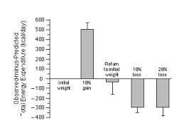 Controlling The Bodys Fat Thermometer Dr Jason Fung