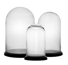 Glass Dome Bell Jar Cloche Terrarium With Wood Bases Set Of 3 In 2020 Glass Dome Cloche Glass Dome Bell Jar Cloche Domes