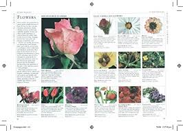 「http://plantadvice.co.uk/forum/viewtopic.php?f scientist」的圖片搜尋結果