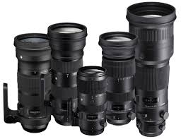 Visit this page to learn more about each lens and their benefits. What Is A Zoom Lens Why And When To Choose A Zoom Lens Sigma Blog