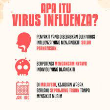 Tipe a dan b menyebabkan epidemi tahunan influenza yang memiliki hingga. Syed Saddiq On Twitter Apa Itu Influenza