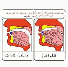 تجويد بە کوردی شوێنی دەرچوونی پیتەکان اللسان 10 کۆتایی letter recognition worksheets letter recognition lettering
