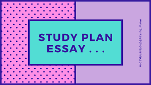 Sample scholarship application cover letter example. Study Plan Essay For Scholarship Application In 2021 Turkey Scholarships