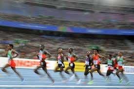 Warholm goes down in legend. Diamond League ãƒã‚±ãƒƒãƒˆã‚'è²·ã†2021 Viagogo