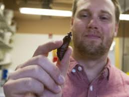 From moths to music: Life for PhD biologists isn't all science