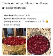 I Like To Have Half A Pomegranate At School Apparently Tearing Them Apart In Class Is A Mild Distraction Funny Memes Stupid Funny Memes