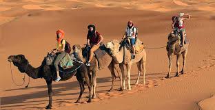 (from marrakech to merzouga) the bus(supratours) depart from marrakech to merzouga this trip begins in evening, we organise the camel ride for the night in desert from a hotel near the sand dunes, the camels will. Marrakech To Merzouga 3 Days Desert Tour Morocco Desert Tours From Marrakech