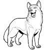Coloriage magique cm, chat footballeur. 1