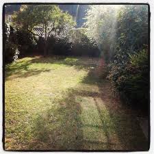 Janice thornhill gats on may 20, 2015. The Pesky Neighborhood Cats And Their Poop