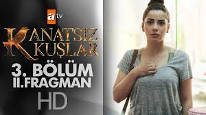 Kanatsiz Kuslar 3 Bolum 2 Fragmani Izle Kus Izleme Kus Yemi