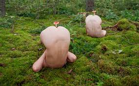 Wenn Frauen in den Wald gehen und einen uralten Mythos untergraben | Qiio  Magazin