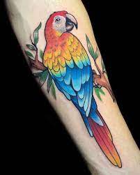 Another very popular bird tattoo design. 30 Adorable Parrot Tattoo Designs You Will Love Cuded Parrot Tattoo Watercolor Parrot Tattoo Tattoo Designs