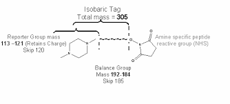 The isobaric tags for relative and absolute quantification or itraq method is a popular quantitation method based on the. Http Tools Thermofisher Com Content Sfs Manuals Cms 049786 Pdf