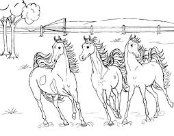 Learn facts about draft horses in this horse fun page then complete the crossword puzzle and color in the picture of the two draft horses pulling the. Breyer Horse Coloring Pages Coloring Home