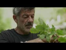 Le JARDIN de PATRICK BOSELLI