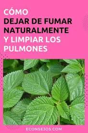 Take 3 capsules one or more times a day. 8 Reto Yo Puedo Dra Coco March Ideas Detoxification Diet Detox Challenge Dark Spots On Skin