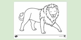Lion coloring page to print and color. Free Lion Colouring Sheet Ks1 Creative Resources Twinkl