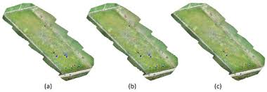 Image result for Cuscuta abyssinica