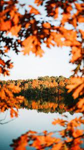 The Latest Iphone11 Iphone11 Pro Iphone 11 Pro Max Mobile Phone Hd Wallpapers Free Download Lake Trees Autumn Autumn Scenery Fall Wallpaper Fall Pictures