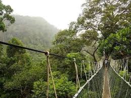 Malaysia truly has a lot to offer the enthusiastic traveller! Discover The Most Beautiful Places In Malaysia Asia Exchange