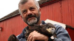 Havørnunger til Irland