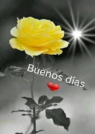 Con Carino Para Ti Buenos Dias Con Rosas Saludos De Buenos Dias Buenos Dias Carino