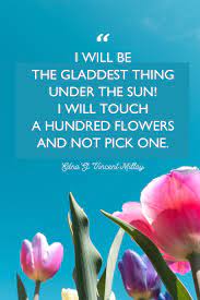 Flower quotes and puns are a fun and unique way to show your valentine just how much you care, without breaking the bank. 48 Inspirational Flower Quotes Cute Flower Sayings About Life And Love