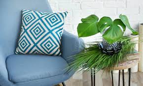 Make as many monstera leaves and craft away! 5 Ways To Decorate With Monstera Leaves Tropical Plants Of Florida