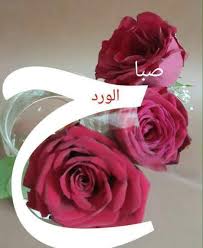 We did not find results for: ØµÙˆØ± Ù…ÙƒØªÙˆØ¨ Ø¹Ù„ÙŠÙ‡Ø§ ØµØ¨Ø§Ø­ Ø§Ù„ÙˆØ±Ø¯ Ø§Ø¬Ø¯Ø¯ Ø§Ù„ØµÙˆØ± Ùˆ Ø§Ù„Ø­Ø§Ù„Ø§Øª Ø§Ù„ØµØ¨Ø§Ø­ÙŠÙ‡ Ø§Ø¨Ø¯Ø§Ø¹ Ø§ÙÙƒØ§Ø±