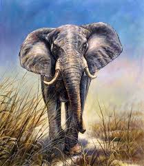 African Elephant Hayvanlar Alemi Tablolar Hayvanlar Ve Sanat