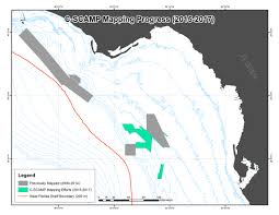 west florida shelf mapping data compilation scamp