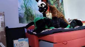 German shepherd breeds a bunny - Fursuit yiff breeding watch online