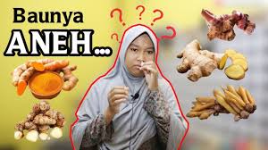 Check spelling or type a new query. Cara Mudah Membedakan Jahe Lengkuas Bagaimana Cara Membedakan Jahe Kunyit Dan Lengkuas Youtube