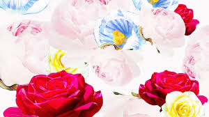 Most people do not consider flower meanings before gifting flowers. Flower Meanings A Complete Guide Stylecaster