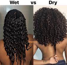 Wet Vs Dry Shrinkage Natural Hair Styles Dry Natural Hair Curly Hair Styles Naturally