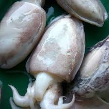 Beli cumi sotong online berkualitas dengan harga murah terbaru 2021 di tokopedia! Apa Perbedaan Antara Cumi Cumi Dan Sotong Quora