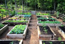 Angehobene Garten Bett Ideen Gemusehochbeet Kleine Gemusegarten Garten Grundriss
