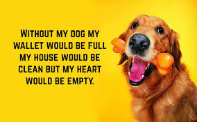 Funny Dog Quotes Funnydogquotes Dog Quotes Funny Hunting Quotes Funny Dog Quotes
