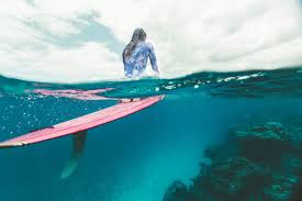 Pin On Tropical Life