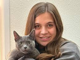 VCA Orchard Animal Hospital