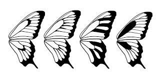 Drawingbutterfly 8 6 Design Stressing Butterfly Wings Pattern Animal Drawings Butterfly Wings