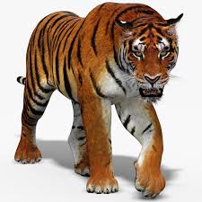 3d Tiger Animation Turbosquid 1252636 High quality ar output in minutes. tiger amur animated