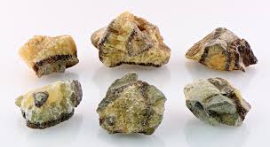 Image result for Dragon SY-252