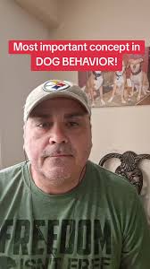 Jeff Tawater Dog Training