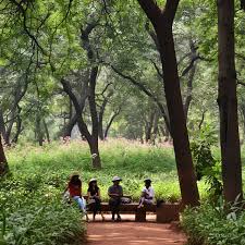 Sanjay Gandhi National Park: Mumbai's ...