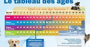 Timeline Photos Cabinet Veterinaire Ittelet Produits Pour Chien Age Chien Chien