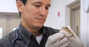 As we conclude national #HispanicHeritageMonth we celebrate the profound  and positive influence of Latinos who make up American society. ZooTampa  acknowledges our team members including: our CEO & President Joe, Director  of