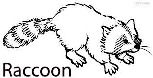 Having unique patterns on its fur, raccoons are cute creatures of the wild. 20 Free Printable Raccoon Coloring Pages Everfreecoloring Com