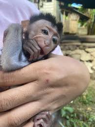 Albert Bernales (@albert.bernales.92) • Threads, Say more