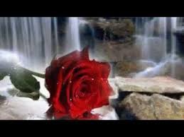 Mariano Barba Aliado Del Tiempo Lindos Mensajes Barba Mariana